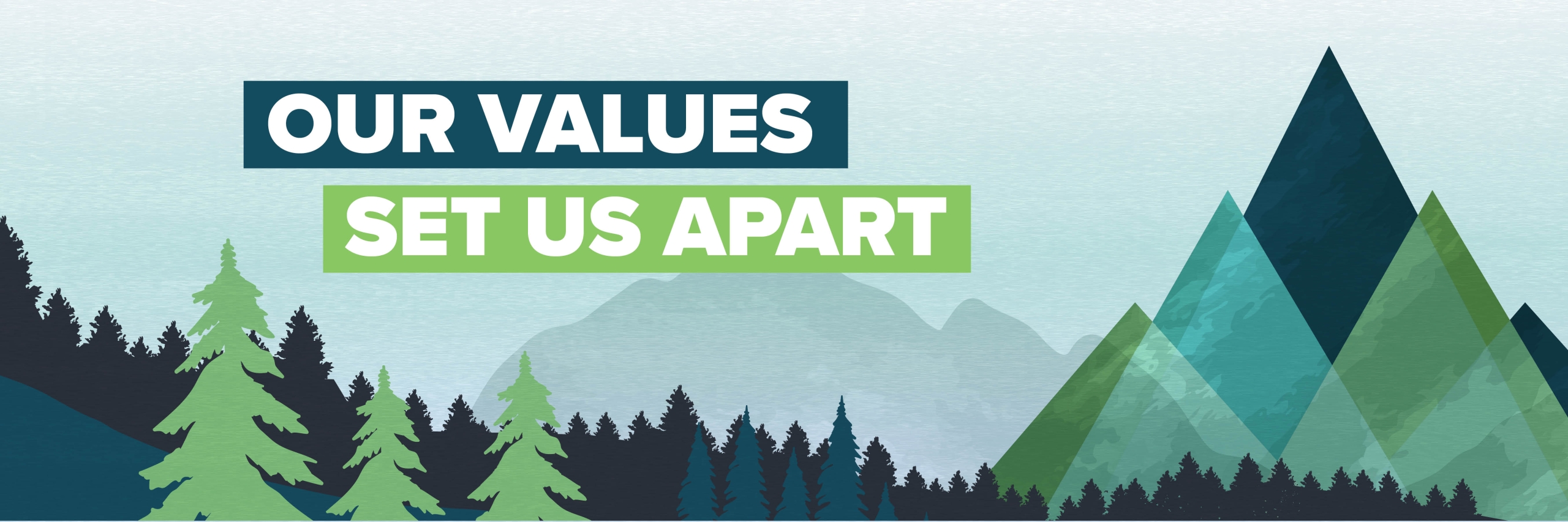 "our values set us apart"