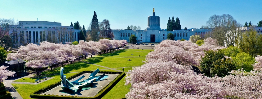 Oregon State Capitol during cherry blossom season. Photo from stock.adobe.com.